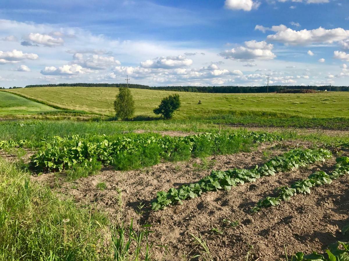Agroturystyka Nad Jeziorem Silickim Ilinscy Silice Exterior foto